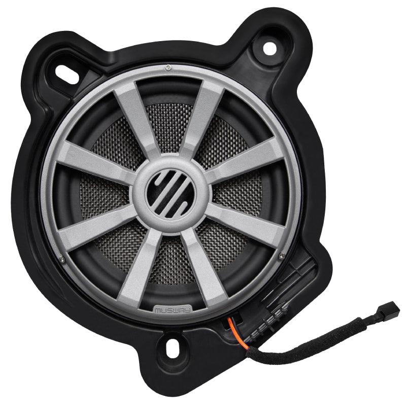 CSM206W L/R Car Subwoofers
