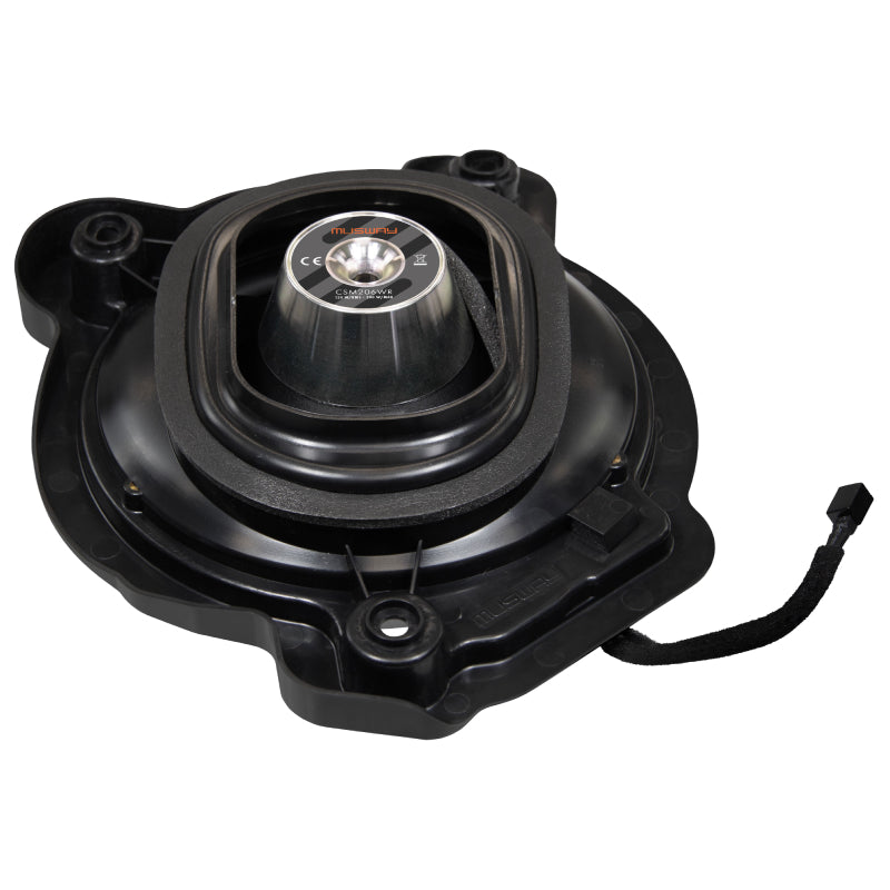 CSM206W L/R Car Subwoofers